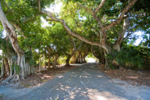 Banyan Street Boca Grande Florida
