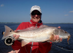 A cool day redfish caught on the fly in Boca Grande, FL