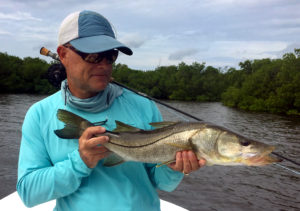 Snook caught fly fishing