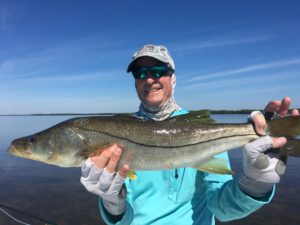snook on the fly by Boca Grande Charlotte Harbor